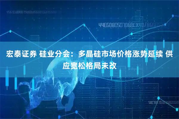 宏泰证券 硅业分会：多晶硅市场价格涨势延续 供应宽松格局未改