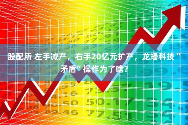 股配所 左手减产，右手20亿元扩产，龙蟠科技“矛盾”操作为了啥？