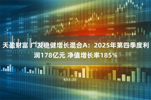 天盈财富 广发稳健增长混合A：2025年第四季度利润178亿元 净值增长率185%