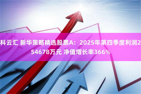 科云汇 新华策略精选股票A：2025年第四季度利润254678万元 净值增长率366%