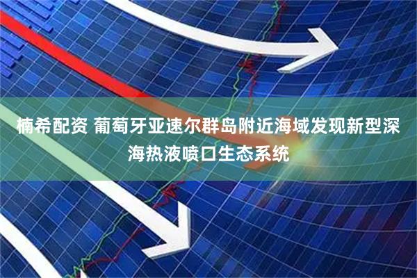 楠希配资 葡萄牙亚速尔群岛附近海域发现新型深海热液喷口生态系统