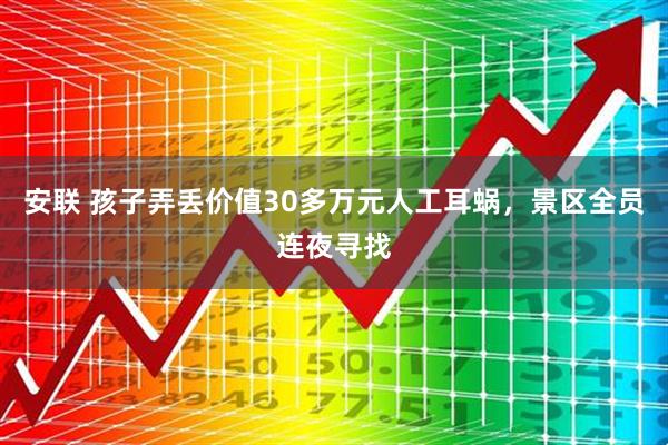 安联 孩子弄丢价值30多万元人工耳蜗，景区全员连夜寻找
