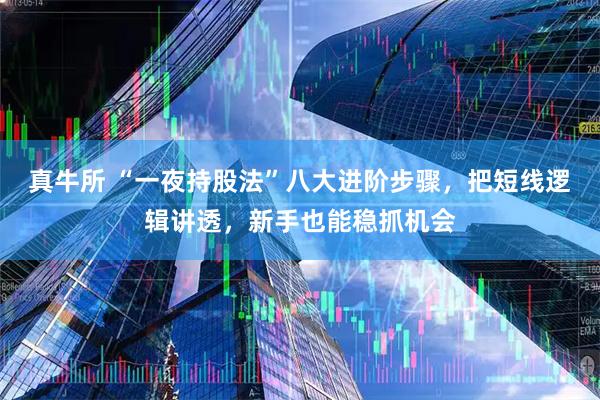 真牛所 “一夜持股法”八大进阶步骤，把短线逻辑讲透，新手也能稳抓机会