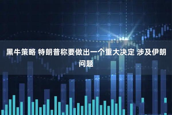 黑牛策略 特朗普称要做出一个重大决定 涉及伊朗问题