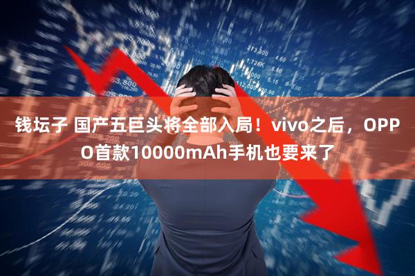 钱坛子 国产五巨头将全部入局！vivo之后，OPPO首款10000mAh手机也要来了